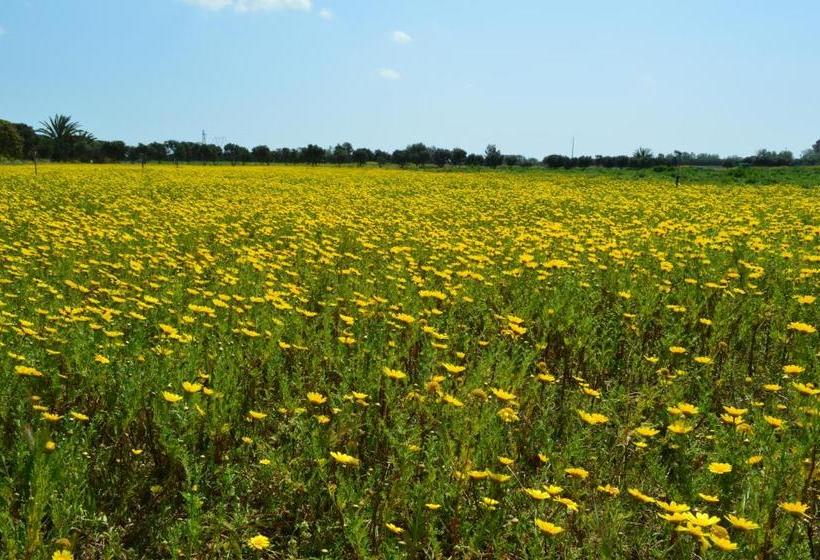 בית מלון כפרי Agriresort Terradome