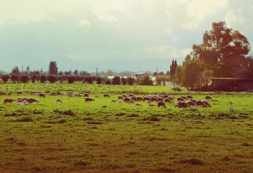 בית מלון כפרי Agriresort Terradome