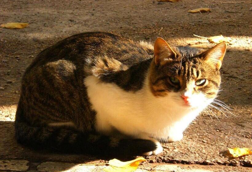 בית מלון כפרי Valle Degli Arci