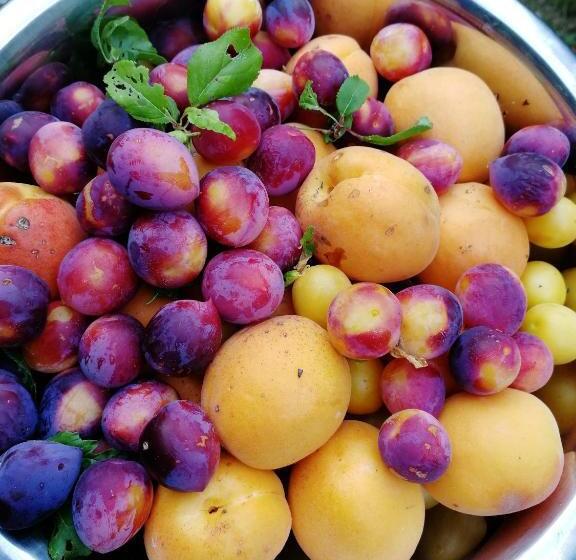 Отель Villa Montecastello