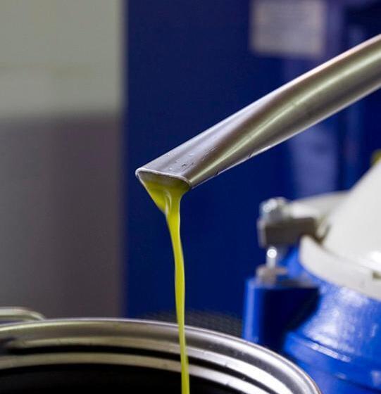 Отель Villa Montecastello