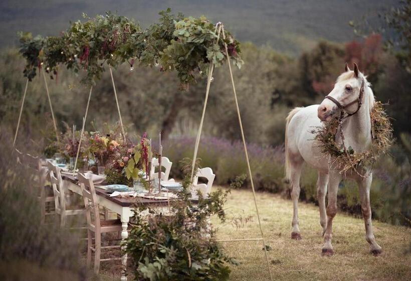 Отель Villa Montecastello