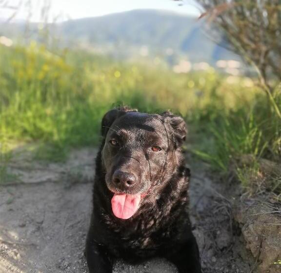 تختخواب و صبحانه Le Ginestre Guesthouse Assisi