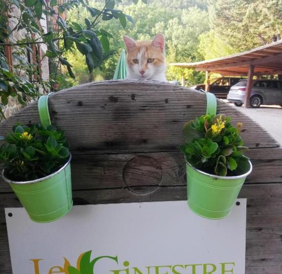 تختخواب و صبحانه Le Ginestre Guesthouse Assisi