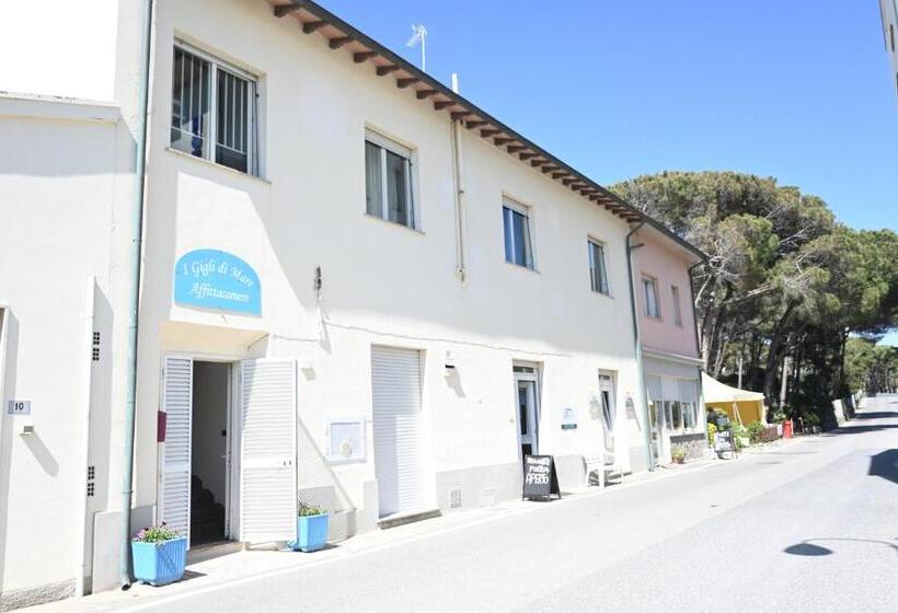 ペンション Affittacamere I Gigli Di Mare