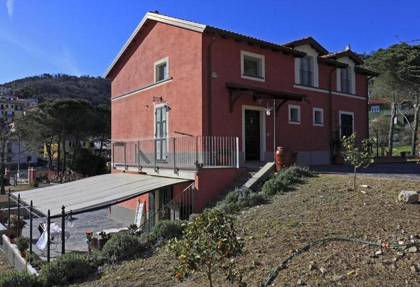 پانسیون Affittacamere La Collina Degli Ulivi