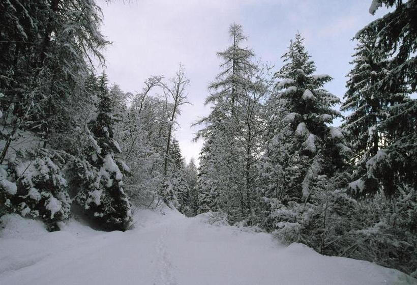 膳宿费 Affittacamere Saint Salod