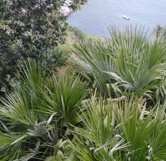 ペンション Catarin Comfort Rooms