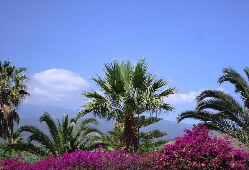 بنسيون Ciuscia