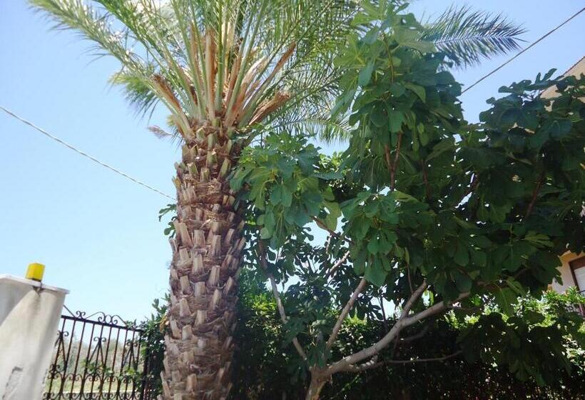 بنسيون Ciuscia