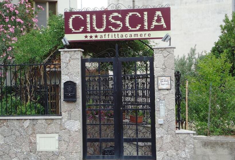 بنسيون Ciuscia