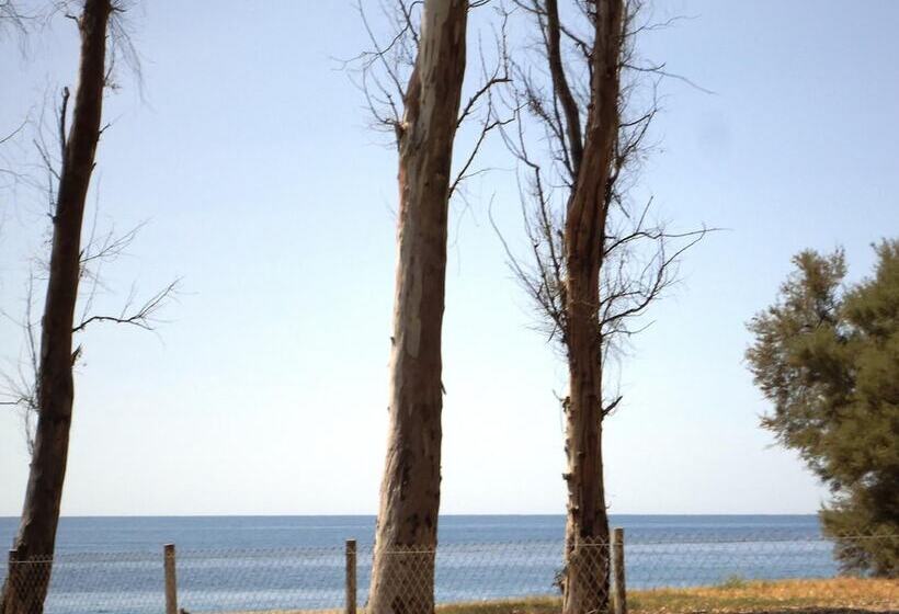 بنسيون Ciuscia