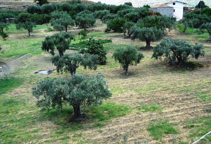 بنسيون Ciuscia