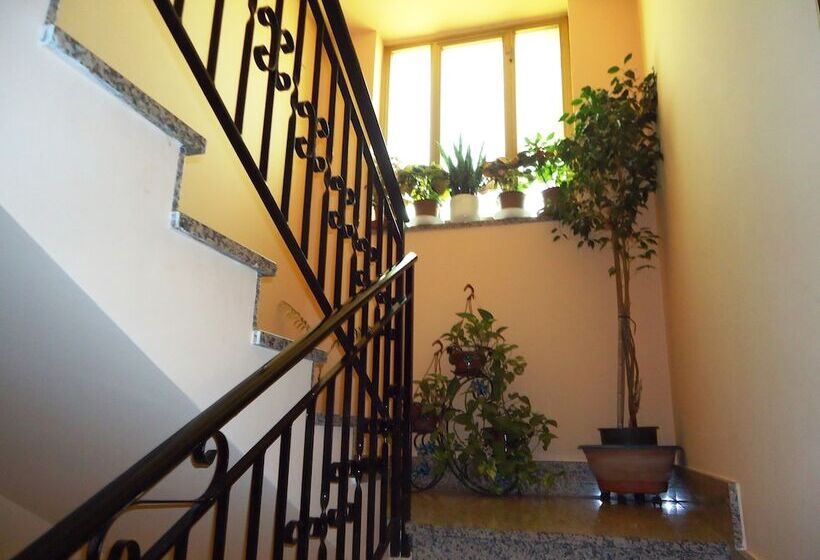 بنسيون Ciuscia