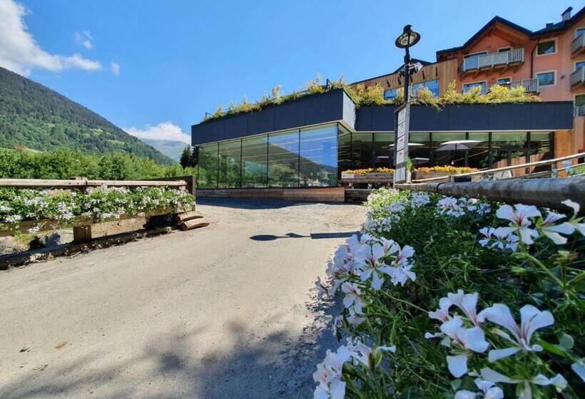 Residence Adamello Resort