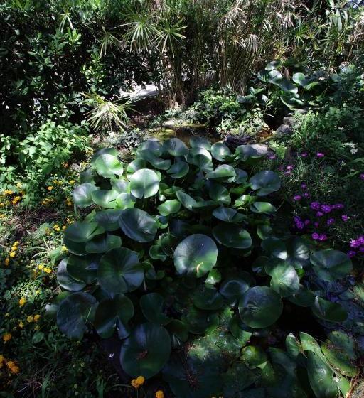 Residence Casa Di Caccia