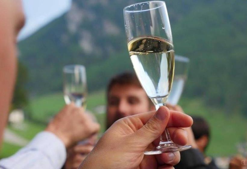 Bergchalet Hotel Reinerhof