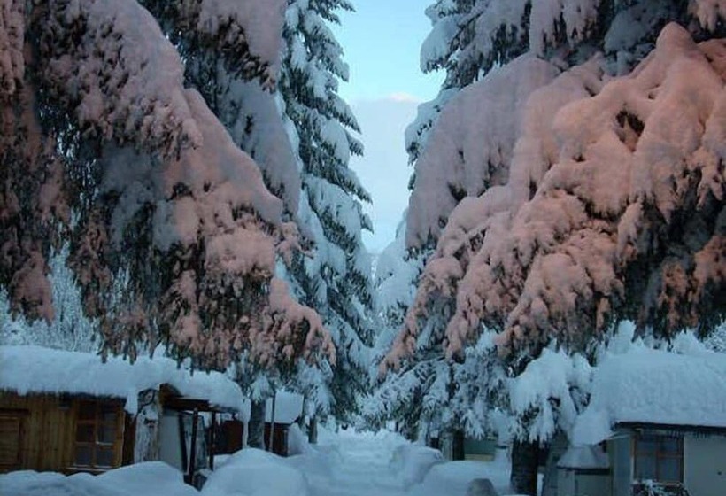 Campodolcino Camping