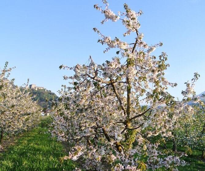 فندق Agriturismo Bortolotti
