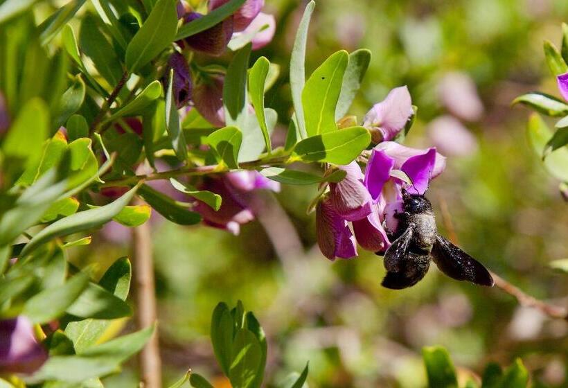 בית מלון כפרי Agriturismo Antares