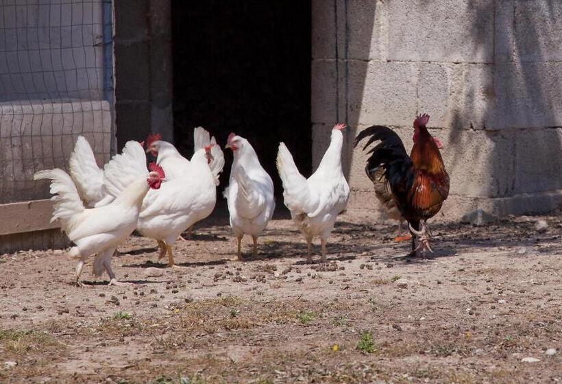 בית מלון כפרי Agriturismo Antares