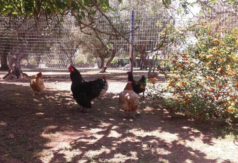 בית מלון כפרי Agriturismo Antares