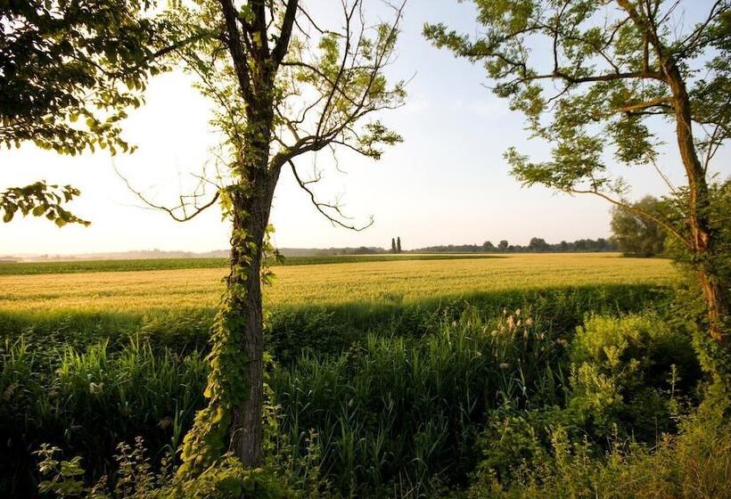 Отель Agriturismo Cascina Roveri