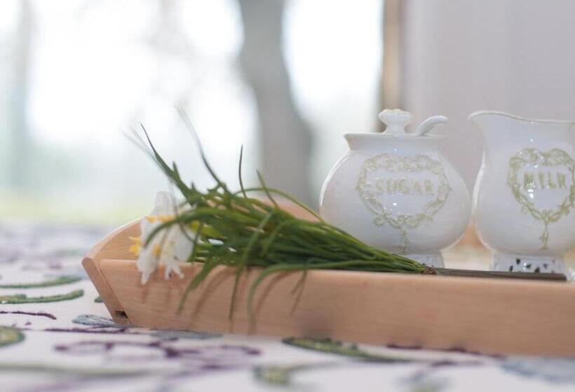 בית מלון כפרי Agriturismo Cornieto