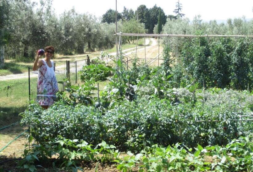 בית מלון כפרי Agriturismo Cornieto