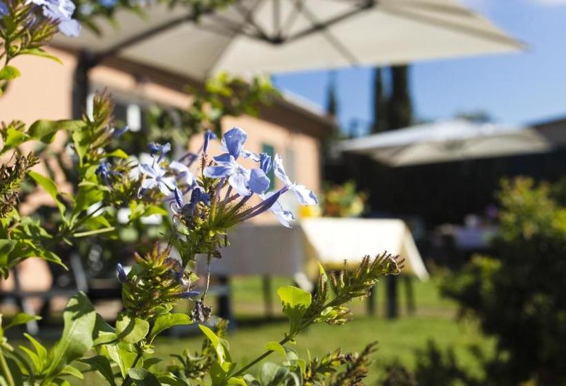 Отель Agriturismo Ferruggini