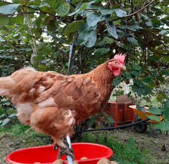 فندق Agriturismo Fior Di Campo