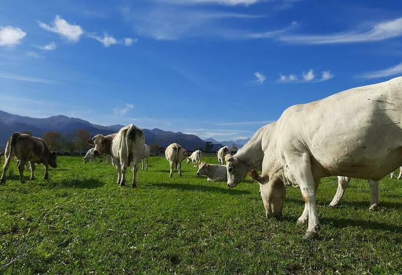 فندق Agriturismo Fior Di Campo