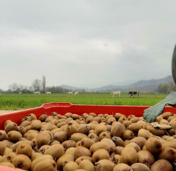 فندق Agriturismo Fior Di Campo