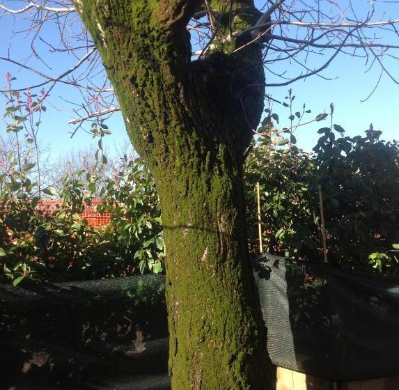 Отель Agriturismo Il Borghetto