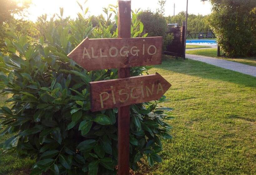 酒店 Agriturismo Il Borghetto