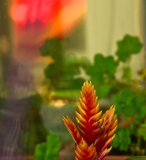 酒店 Agriturismo Il Borghetto