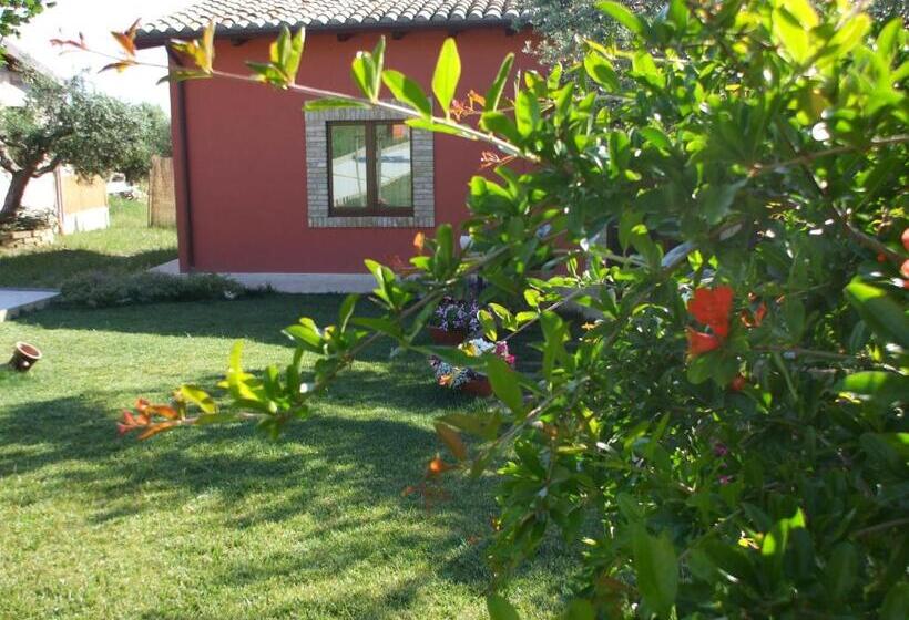 Отель Agriturismo Il Borgo Degli Ulivi