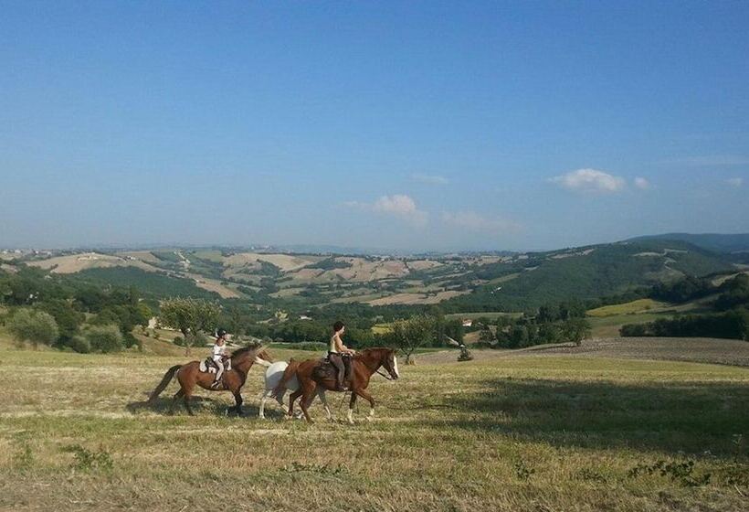 호텔 Agriturismo Il Casale