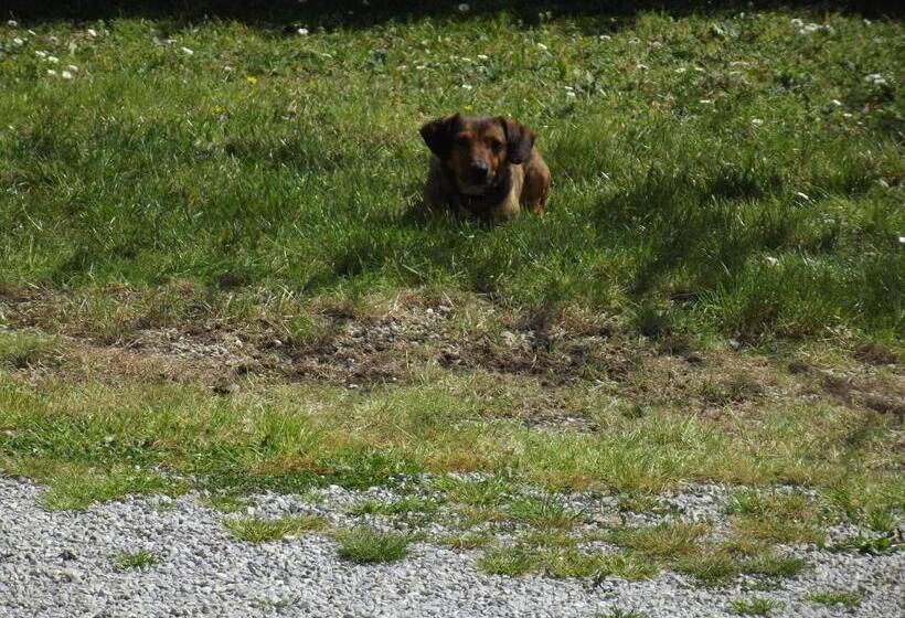 בית מלון כפרי Agriturismo La Conserva