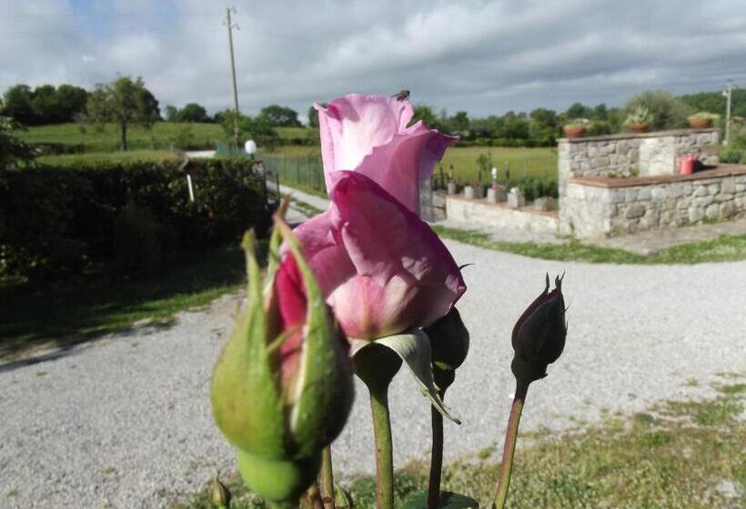 בית מלון כפרי Agriturismo La Conserva