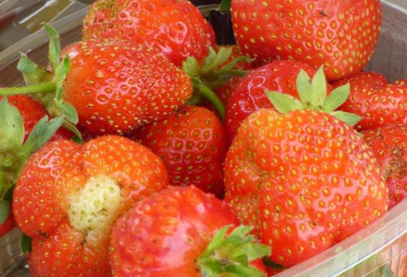 ホテル Agriturismo La Sforzata