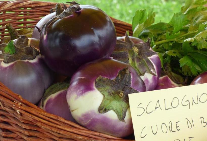 ホテル Agriturismo La Sforzata