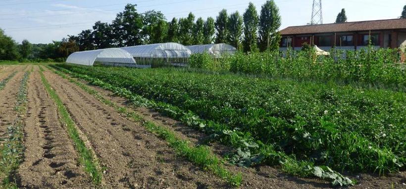 ホテル Agriturismo La Sforzata