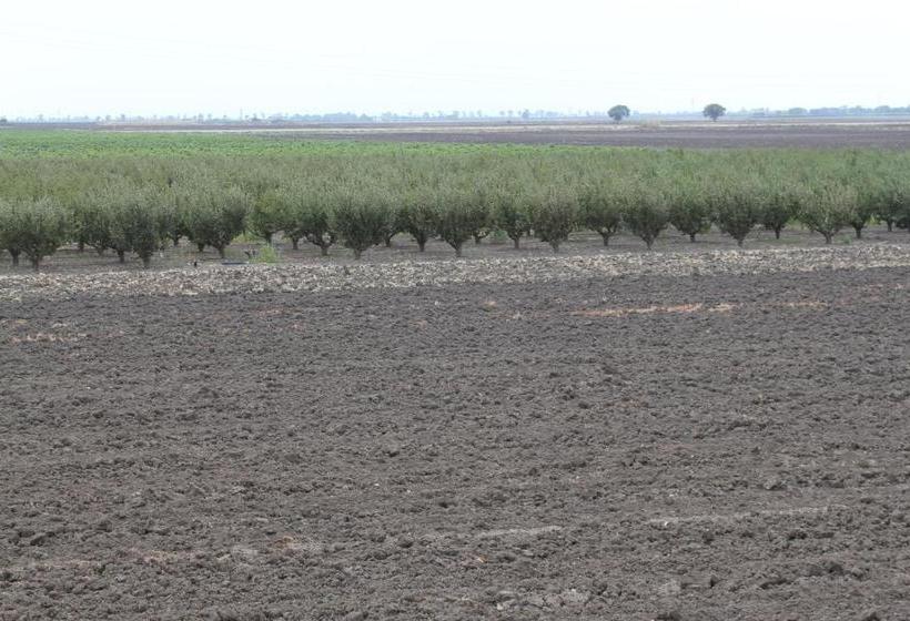 בית מלון כפרי Agriturismo Silos Agri