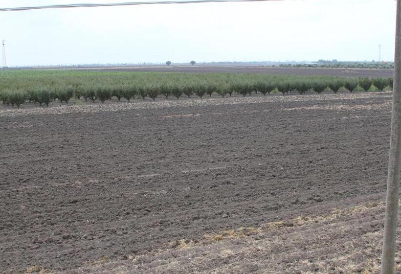 בית מלון כפרי Agriturismo Silos Agri