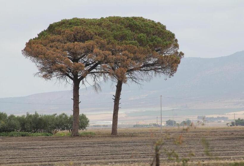 בית מלון כפרי Agriturismo Silos Agri