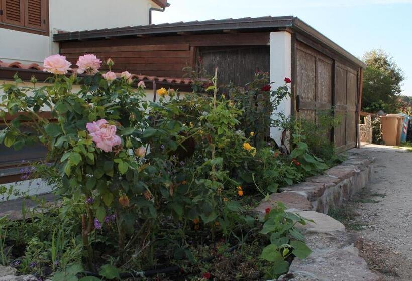 Отель Agriturismo Su Recreu