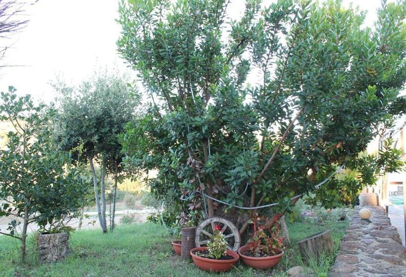 Отель Agriturismo Su Recreu