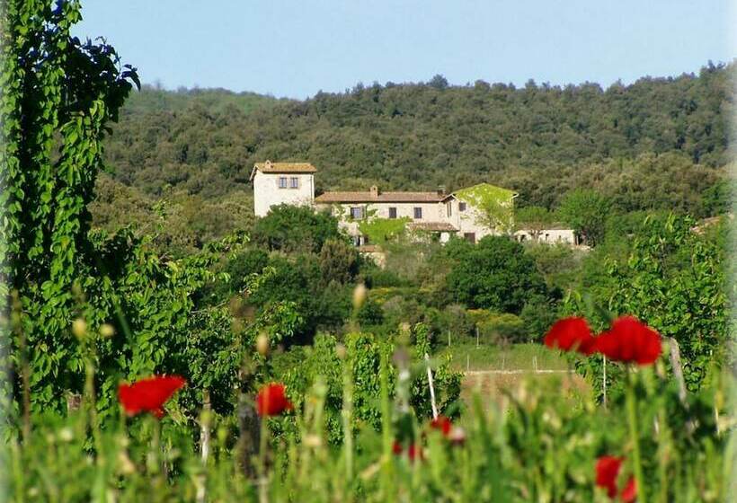 בית מלון כפרי Agriturismo Torre Doganiera