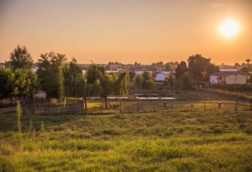 酒店 Agriturismo Tre Rondini